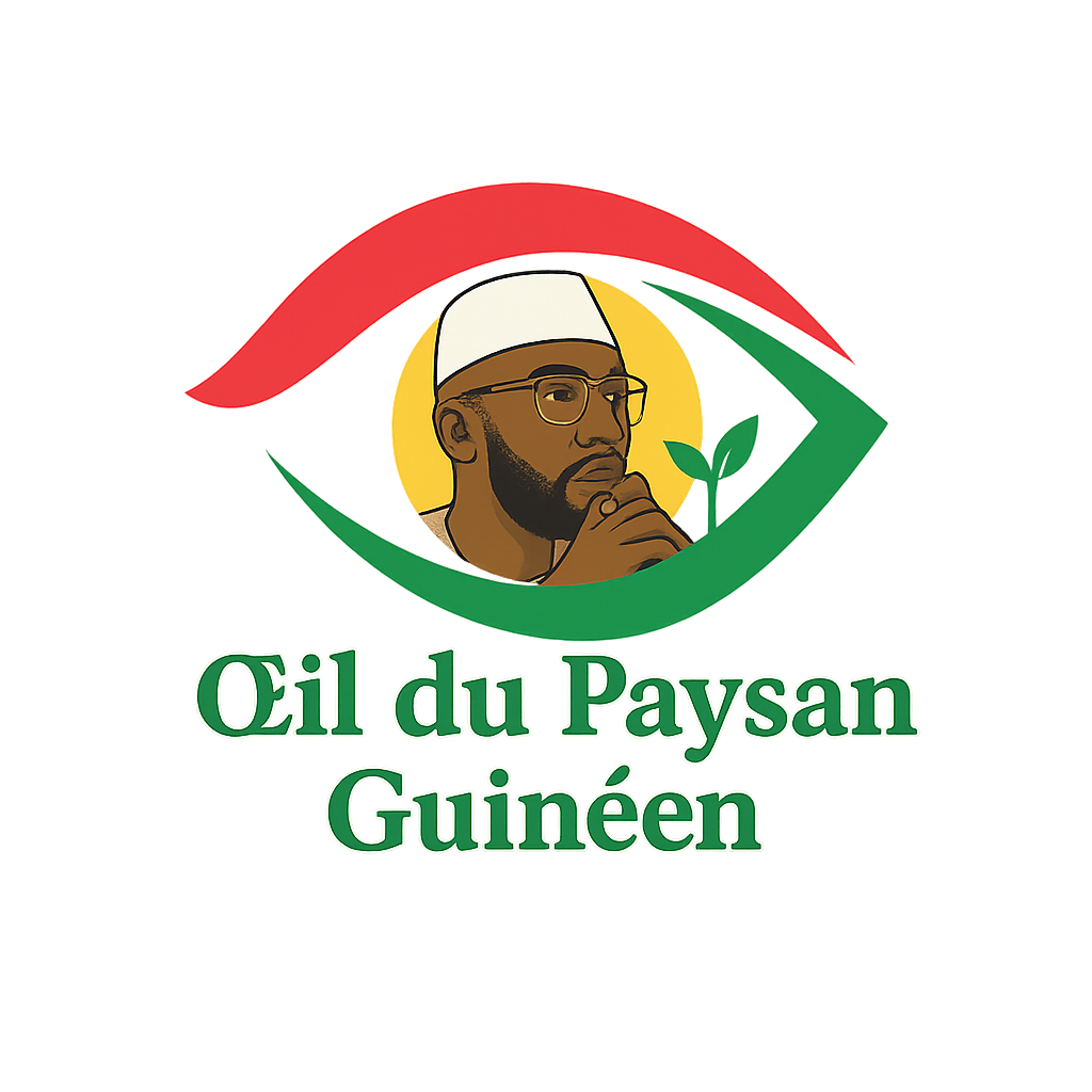 Classement comparatif des mandats au ministère de l’Agriculture (2010–2025)